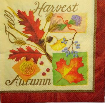 124 Autumn - 3-ply - Converting - Natalie Samolis