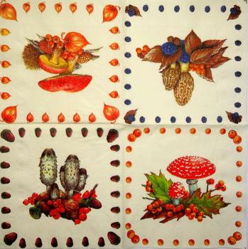 126 Autumn - 3-ply