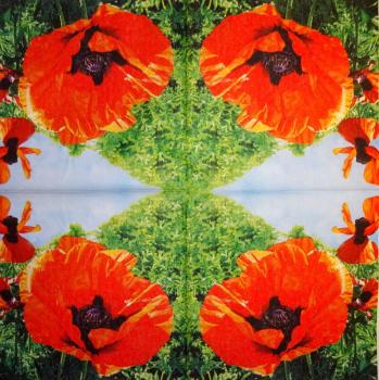 182 Anemonen, Mohn - 3-lagig - Home Fashion