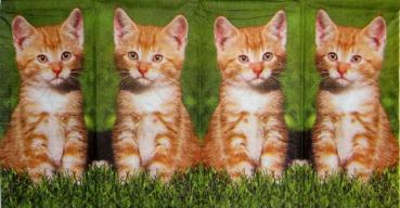 197 Katzen - 4-lagig - ppd - Mauritius Images - Taschentuch
