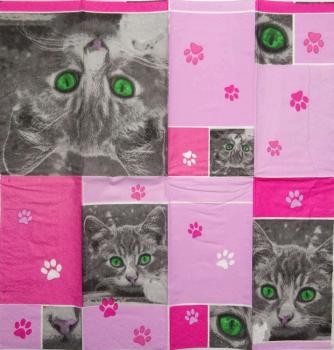 200 Cats - 4-ply - Braunies - Handkerchief