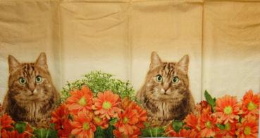 145 Cats - 4-ply - Colourful Life - Handkerchief