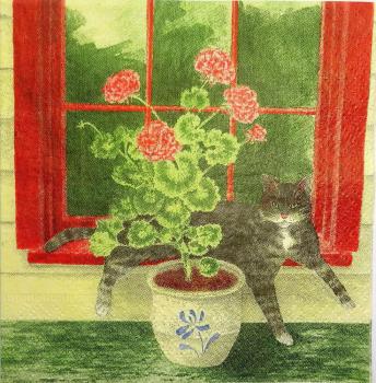 205 Cats - 3-ply - Alice Backman - CS