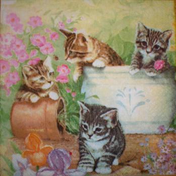 094 Cats - 3-ply - Chris Piper