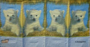 054 Eisbären - 4-ply - ppd - The Image Bank - Handkerchief