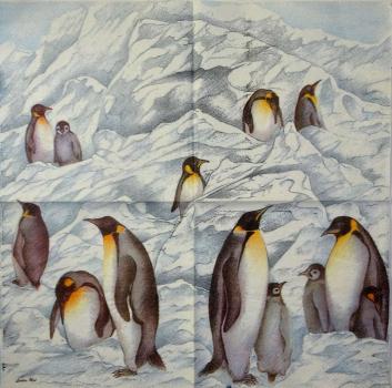 018 Pinguine - 3-lagig (dunkel) - MOLCA