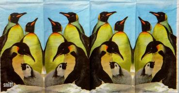 045 Pinguine - 4-lagig - ppd  - Taschentuch
