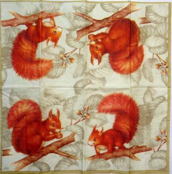 029 Eichhörnchen - 4-ply (cream) - Ihr - Handkerchief