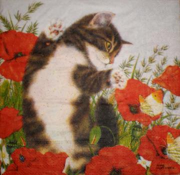 102 Cats - 3-ply - Anne Mortimer