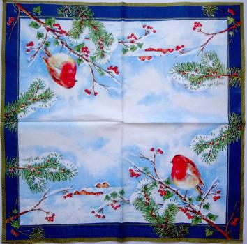 067 Vögel - 3-ply (blue) - Ihr