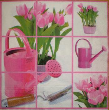 025 Tulips