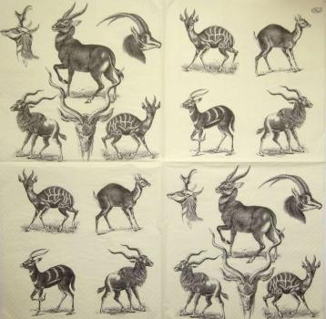 115 Tiere Afrika: Diverse - 3-lagig - Paw