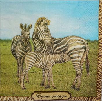 017 Zebra - 3-ply - Ambiente - CS