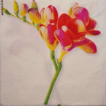 110 Flowers Others - 3 ply - Artebene