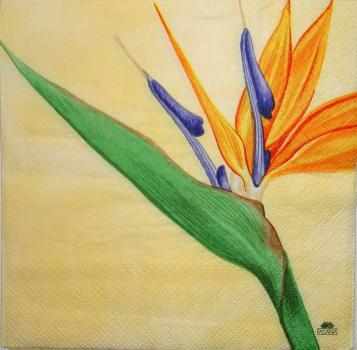 121 Flowers Others - 3 ply - Fasana