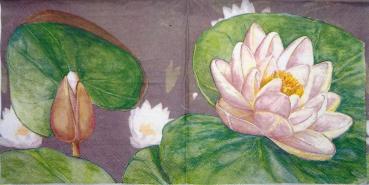 144 Flowers Others - 3 ply (pink) - Molca