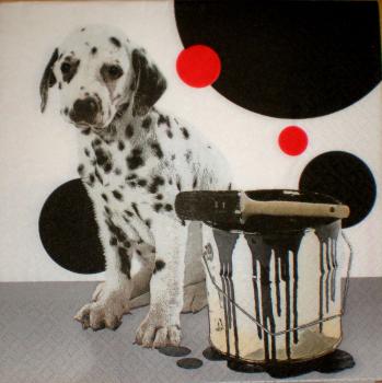 015 Dogs
