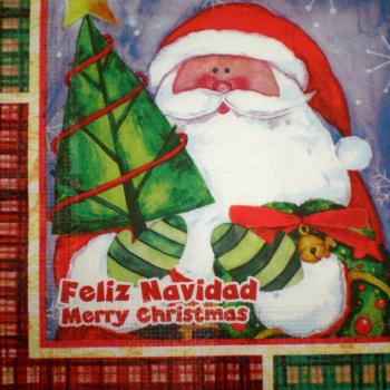 024 Santa Others - 3-ply