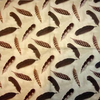 004 Feathers - 3-ply - Paw