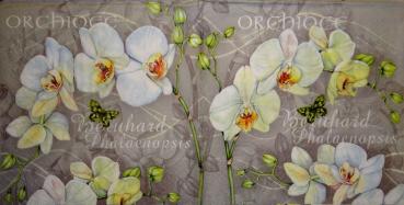 055 Orchids - 3-ply - Nouveau