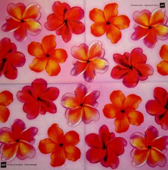 058 Orchids - 3-ply - ppd - Chris Zalewski
