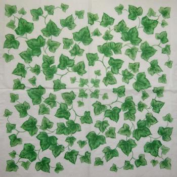 080 Plants - 3- ply - Fasana