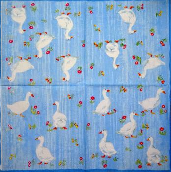 078 Ducks - 3-ply (blue) - Ihr