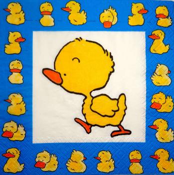 081 Ducks - 3-ply (blue)