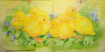 086 Ducks - 3-ply - Avec