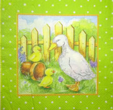 087 Ducks - 3-ply