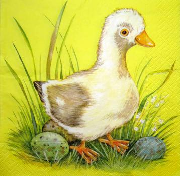 088 Ducks - 3-ply (yellow)