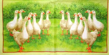 092 Ducks - 3-ply - Cypress - Ambiente