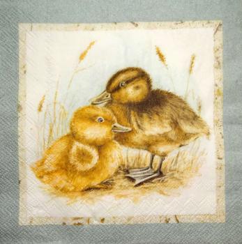 093 Enten - 3-lagig