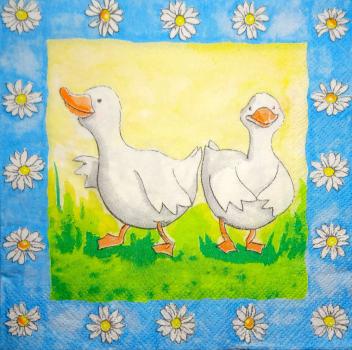 094 Ducks - 3-ply (blue) - Stewo