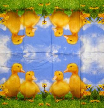 068 Enten - 4-lagig - Paper Design - Taschentuch