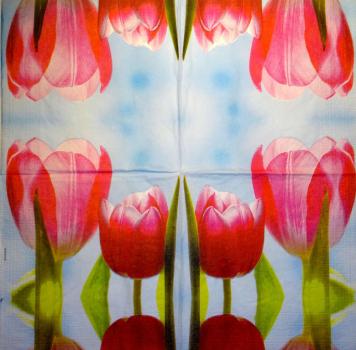 116 Tulips - 3-ply - ppd - Krackenberger