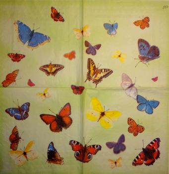 057 Butterflies - 3 ply (grün) - Ihr