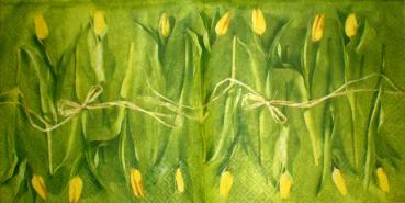 039 Tulpen - 3-lagig - Paw