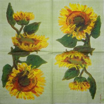 107 Sunflowers - 3-ply (grün) - MOLCA / Ladies Mol