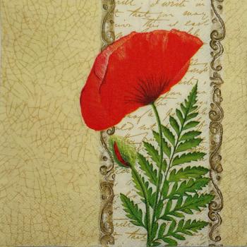 091 Anemonen, Mohn - 3-lagig (creme)
