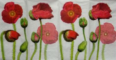099 Anemonen, Mohn - 4-lagig - Colourful Life - Taschentuch