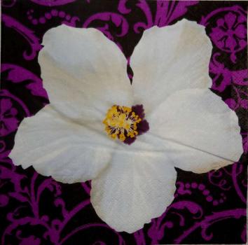 039 Magnolias - 3 ply (purple) - Avantgarde
