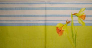 079 Daffodils - 3-ply