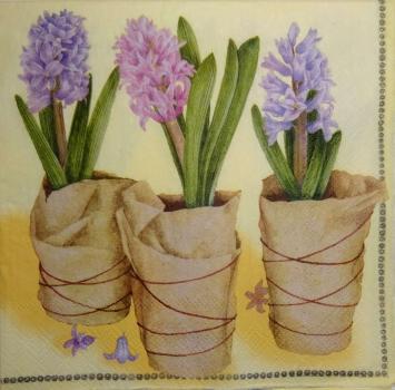 086 Daffodils - 3-ply - Ambiente
