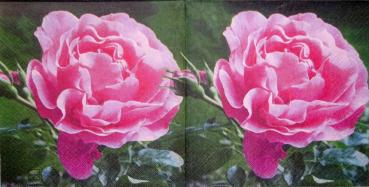 370 Roses - 3-ply - Home Fashion