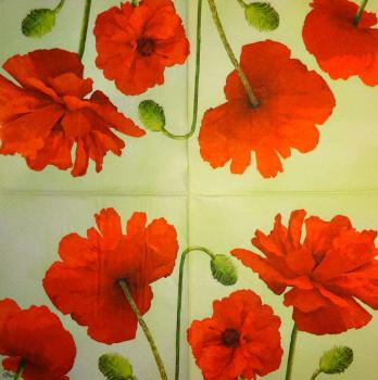 184 Anemones, Poppy - 3-ply (grün) - Paw