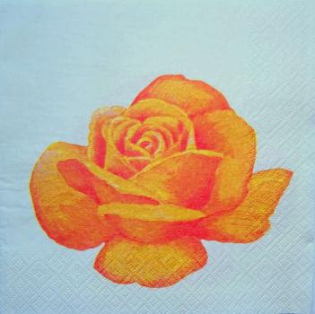 394 Roses - 3-ply (orange)