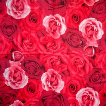 400 Rosen - 3-lagig