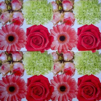 401 Rosen - 3-lagig - Ambiente