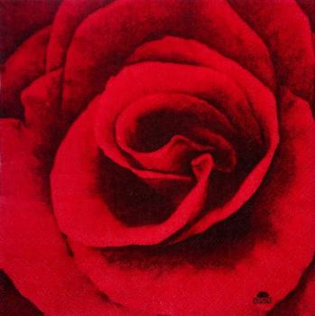 408 Roses - 3-ply - Fasana - CS